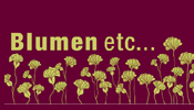 Blumen Etc.