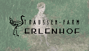 Straussen-Farm Erlenhof - Frauenfeld 