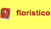 Florisitco - Blumen - Arbon