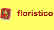 Florisitco - Blumen - Arbon 