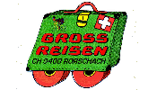 Grossreisen GmbH Carreisen - Veloreisen Rorschach